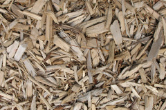biomass boilers Llangoedmor