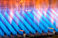 Llangoedmor gas fired boilers